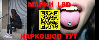 крисы Моздок