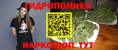 прущие грибы Мариинск