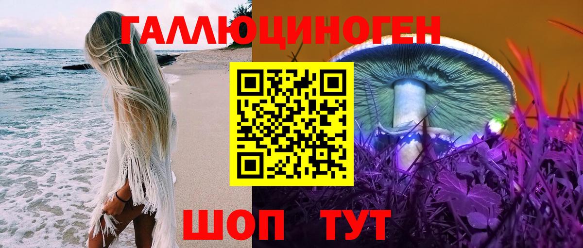Саянск  Псилоцибиновые грибы Cubensis  Вход с VPN  Псилоцибиновые грибы GOLDEN TEACHER 